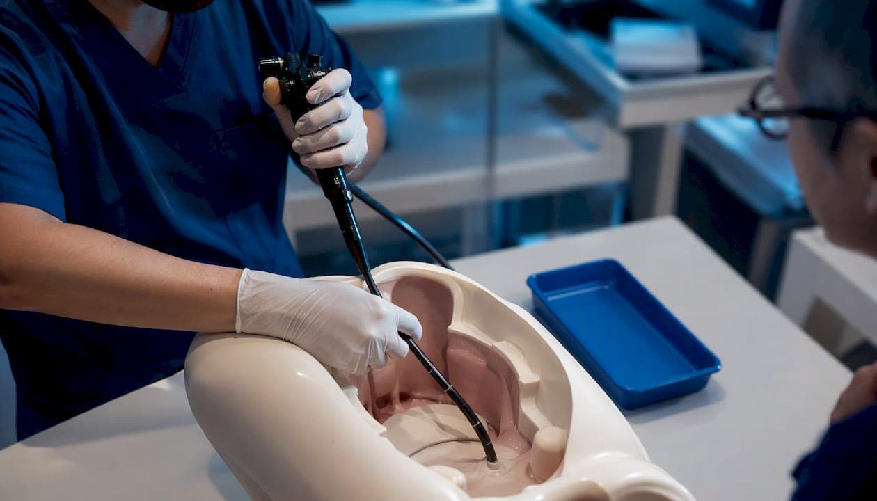 Veterinary Endoscopy: Choose Courses With 20–40+ Lab Hours for Real Scope Time