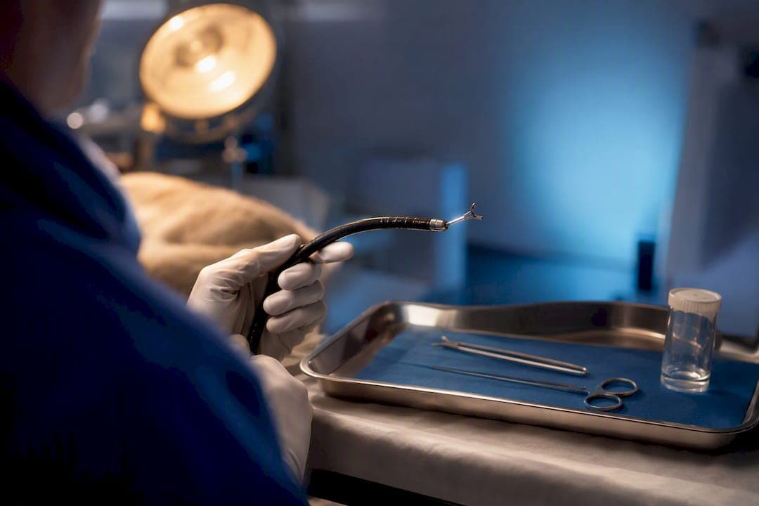Avoid Repeat Biopsies: GI Endoscope Specs Small Animal Clinics Need