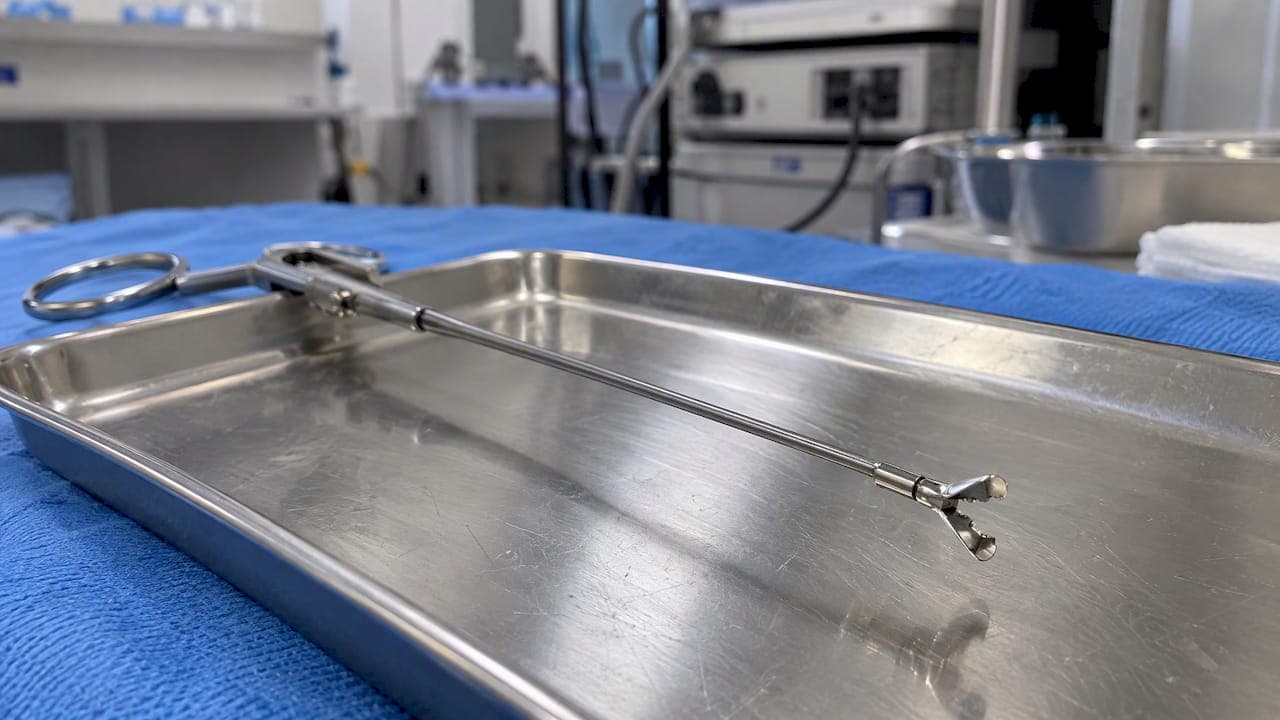 Biopsy Forceps Jaw Types: Why Bigger Cups Can Miss Deeper Tissue